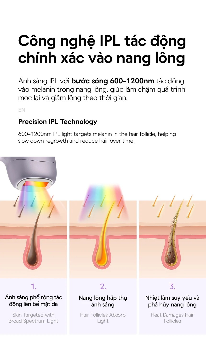 Máy Triệt Lông tại nhà IPL LocknLock Ice Cooling, 9 Mức Năng Lượng, Bước Sóng 600-1200nm, Màn Hình LCD, Chế Độ Tự Động - ENC311PUP 13 may triet long tai nha ipl locknlock ice cooling 9 muc nang luong buoc song 600 1200nm man hinh lcd che do tu dong enc311pup description 1785052788 1