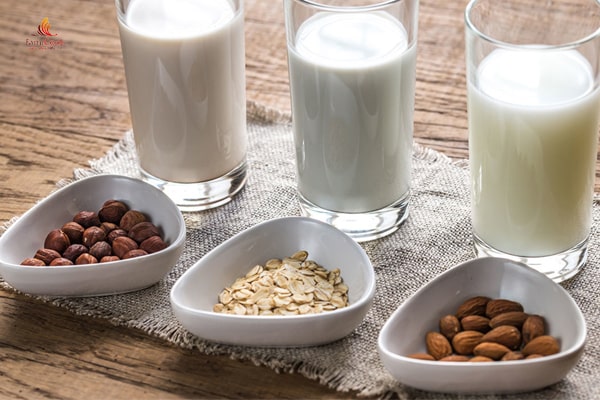 Sữa hạt rất tốt cho sức khỏe và được nhiều người yêu thích sử dụng.