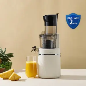 [Áp voucher 6%] Máy ép chậm Locknlock Bianco Slow juicer 0.8L, 200W, 220-240V, 50Hz - Màu trắng ngà - EJJ421IVY