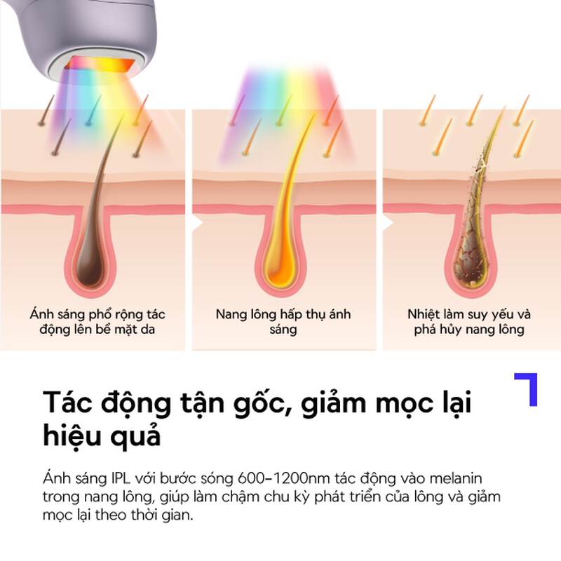 Máy Triệt Lông tại nhà IPL LocknLock Ice Cooling, 9 Mức Năng Lượng, Bước Sóng 600-1200nm, Màn Hình LCD, Chế Độ Tự Động - ENC311PUP 3 Máy Triệt Lông tại nhà IPL LocknLock Ice Cooling, 9 Mức Năng Lượng, Bước Sóng 600-1200nm, Màn Hình LCD, Chế Độ Tự Động - ENC311PUP gallery