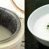cách làm sữa chua nha đam bằng nồi cơm điện